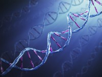 mutation-gen-novosti-erc