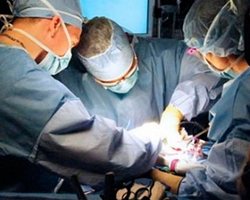 transplantaciya-po4ki-v-turzii-novosti-erc